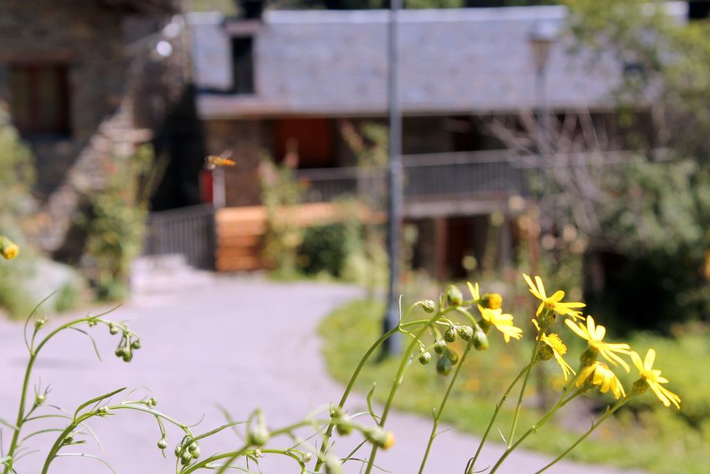 Apartaments Turístics Vilaró Llorts Exterior foto